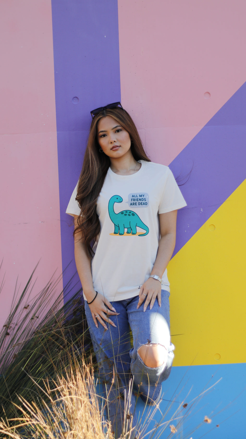 Dinosaur No Friends