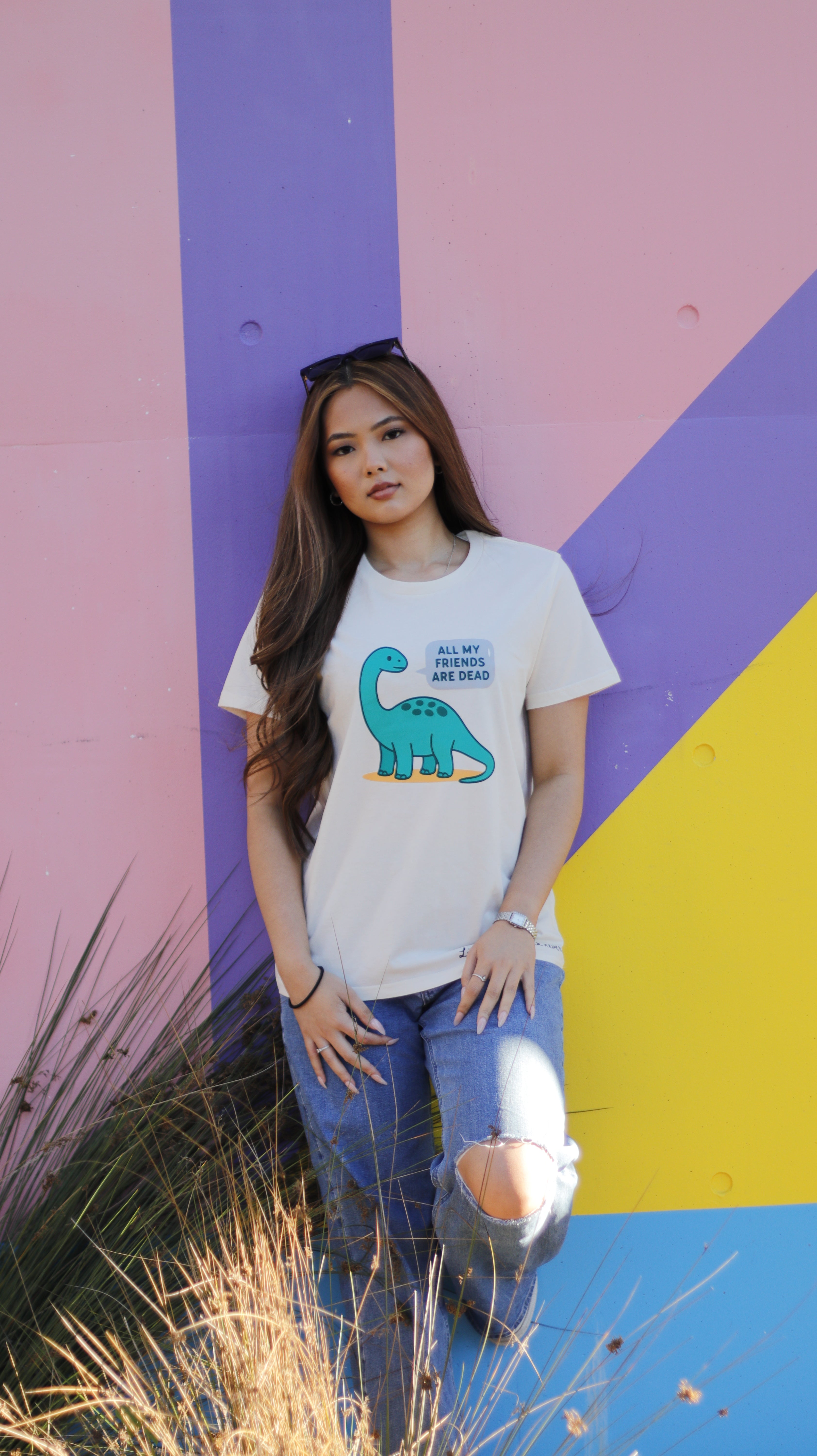 Dinosaur No Friends